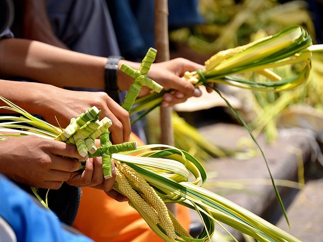 Domenica delle Palme