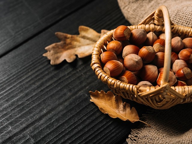 Festa dAutunno in oratorio